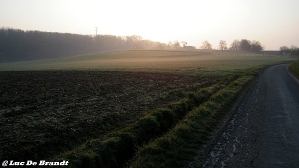 wandeling Aktivia Heidetochten Gooik