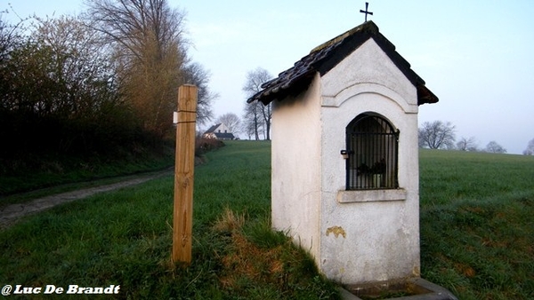 wandeling Aktivia Heidetochten Gooik