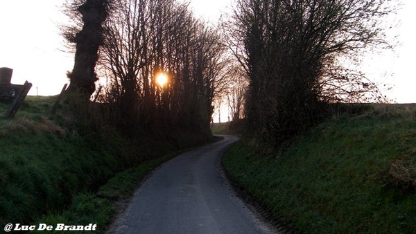 wandeling Aktivia Heidetochten Gooik