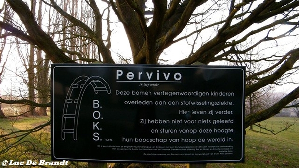 wandeling Aktivia Heidetochten Gooik