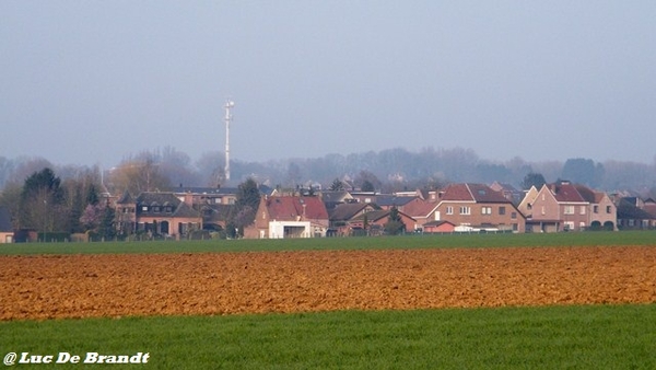 wandeling Aktivia Heidetochten Gooik