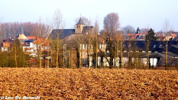 wandeling Aktivia Heidetochten Gooik