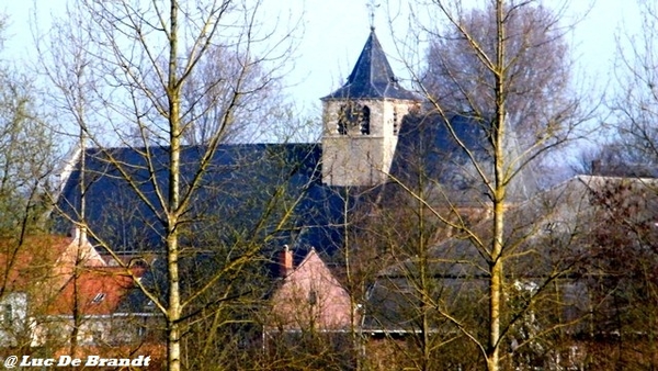 wandeling Aktivia Heidetochten Gooik