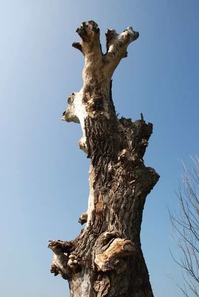 01  Wandeling Buggenhout 25.03.2012