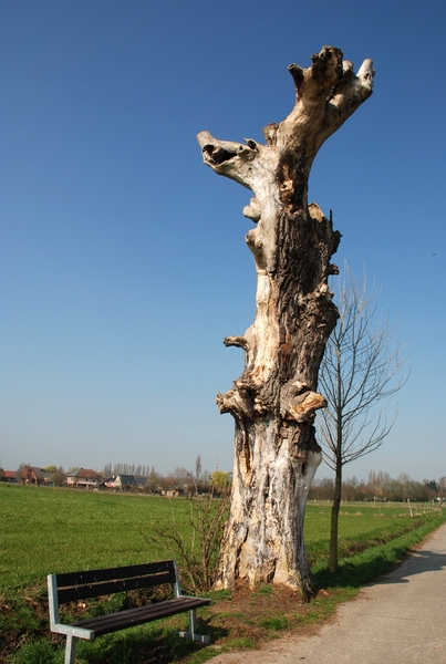 02  Wandeling Buggenhout 25.03.2012