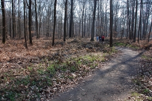 03  Wandeling Buggenhout 25.03.2012