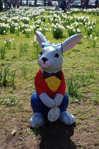12  Wandeling Buggenhout 25.03.2012