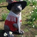 15  Wandeling Buggenhout 25.03.2012