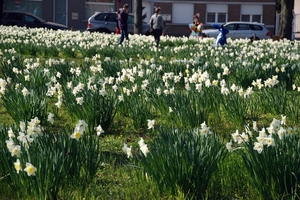 19  Wandeling Buggenhout 25.03.2012