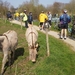 2012-03-25_St-Denijs-Westrem_Leiestreek 0ost 009