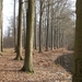 Buggenhout Maart 2012 004