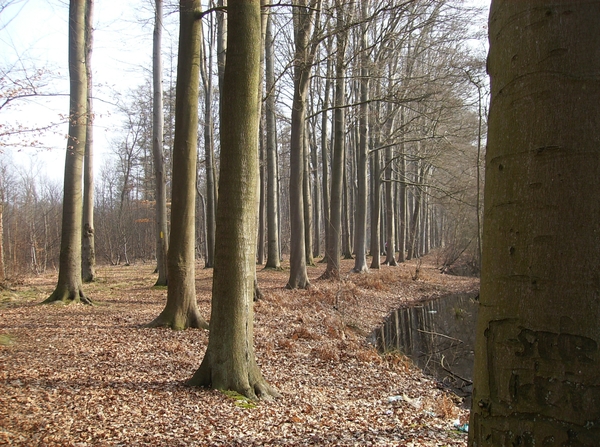 Buggenhout Maart 2012 004