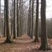 Buggenhout Maart 2012 005