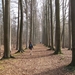 Buggenhout Maart 2012 006