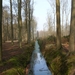 Buggenhout Maart 2012 007