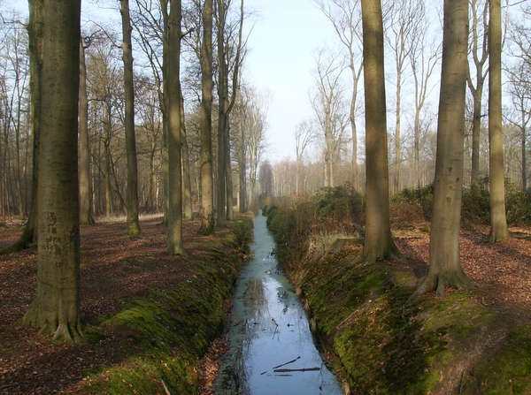 Buggenhout Maart 2012 007