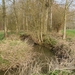 Buggenhout Maart 2012 010