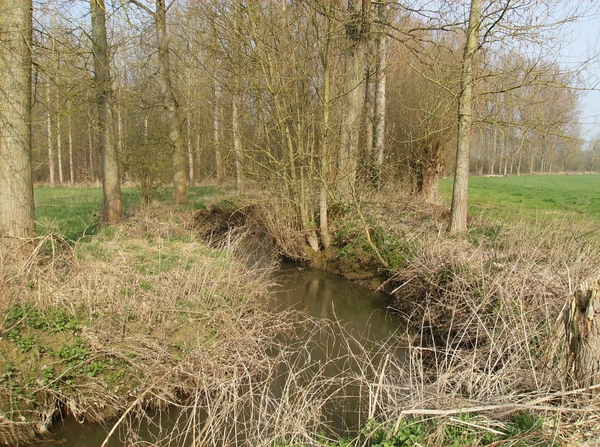 Buggenhout Maart 2012 010