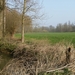 Buggenhout Maart 2012 011