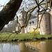 Buggenhout Maart 2012 020