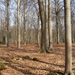 Buggenhout Maart 2012 025