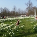 Buggenhout Maart 2012 028