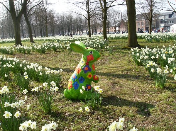 Buggenhout Maart 2012 029