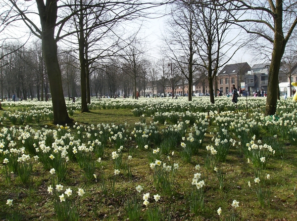 Buggenhout Maart 2012 031