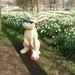 Buggenhout Maart 2012 033