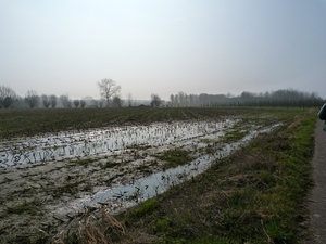 016-Veldkapelletje langs Opwijkse kerkwegel