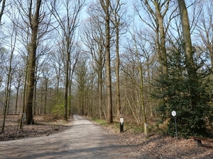 032-Wandeldreven in Buggenhoutbos