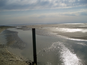 P5010059