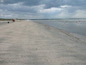 P1000036