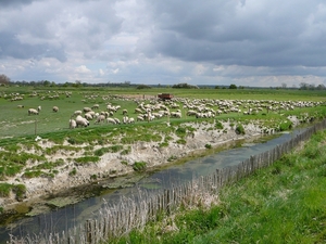 P1000073