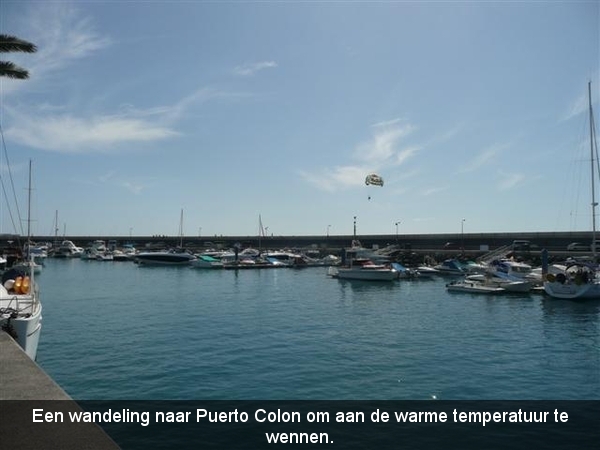 20120301 16u17 Wandeling naar Puerto Colon   Spanje Tenerife colo