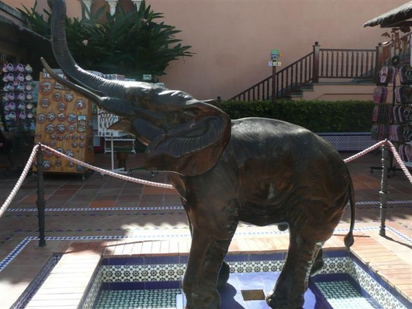 20120308 12u40 Loro Parque  Spanje Tenerife colon guanahani 112