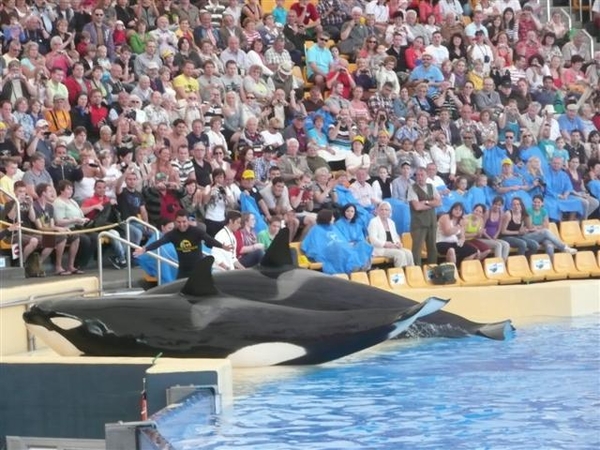 20120308 13u11  Spanje Tenerife colon guanahani 117