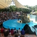 20120308 13u51  Loro parque Spanje Tenerife colon guanahani 120