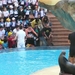 20120308 13u51 Loro Parque  Spanje Tenerife colon guanahani 123