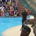 20120308 13u52  Loro Parque Spanje Tenerife colon guanahani 121