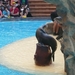 20120308 13u53  Loro Parque Spanje Tenerife colon guanahani 122