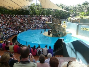 20120308 13u54 Loro parque  Spanje Tenerife colon guanahani 125