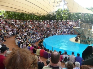 20120308 13u56 Loro parque  Spanje Tenerife colon guanahani 126