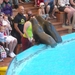 20120308 13u58 Loro Parque Spanje Tenerife colon guanahani 128