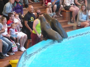 20120308 13u58 Loro Parque Spanje Tenerife colon guanahani 128