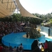 20120308 14u Loro parque  Spanje Tenerife colon guanahani 129