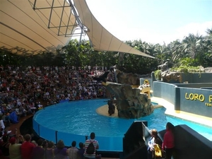 20120308 14u Loro parque  Spanje Tenerife colon guanahani 129