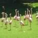 20120308 15u20 Loro Parque  Spanje Tenerife colon guanahani 135