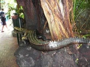 20120308 15u28 Loro Parque  Spanje Tenerife colon guanahani 142