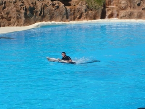 20120308 16u06 Loro parque  Spanje Tenerife colon guanahani 149